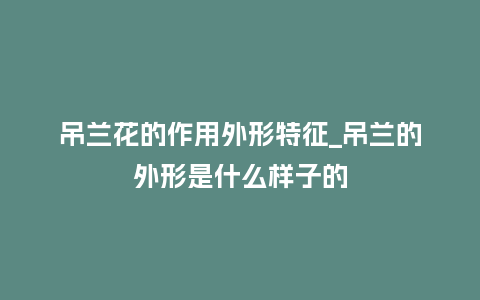 吊兰花的作用外形特征_吊兰的外形是什么样子的_鲜花知识_第1张_酷尚品 吊兰花的作用外形特征_吊兰的外形是什么样子的_http://www.kushangpin.com_鲜花知识_第1张