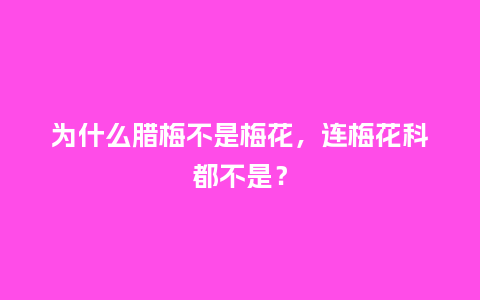 为什么腊梅不是梅花,连梅花科都不是?_鲜花知识_第1张_酷尚品 为什么腊梅不是梅花,连梅花科都不是?_https://www.kushangpin.com_鲜花知识_第1张