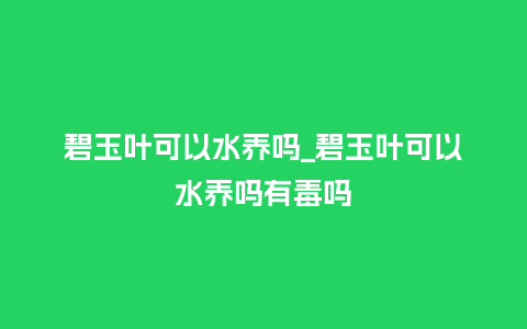 碧玉叶可以水养吗_碧玉叶可以水养吗有毒吗_鲜花知识_第1张_酷尚品 碧玉叶可以水养吗_碧玉叶可以水养吗有毒吗_https://www.kushangpin.com_鲜花知识_第1张