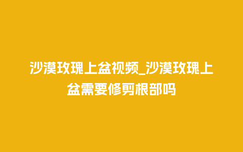 沙漠玫瑰上盆视频_沙漠玫瑰上盆需要修剪根部吗_鲜花知识_第1张_酷尚品 沙漠玫瑰上盆视频_沙漠玫瑰上盆需要修剪根部吗_https://www.kushangpin.com_鲜花知识_第1张