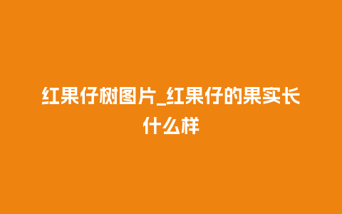 红果仔树图片_红果仔的果实长什么样_鲜花知识_第1张_酷尚品 红果仔树图片_红果仔的果实长什么样_http://www.kushangpin.com_鲜花知识_第1张