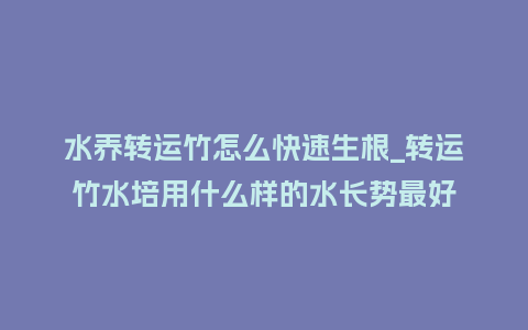 水养转运竹怎么快速生根_转运竹水培用什么样的水长势最好_鲜花知识_第1张_酷尚品 水养转运竹怎么快速生根_转运竹水培用什么样的水长势最好_http://www.kushangpin.com_鲜花知识_第1张
