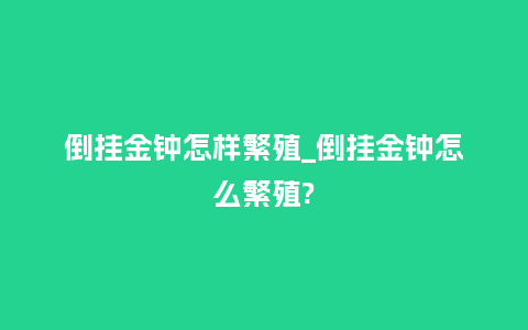 倒挂金钟怎样繁殖_倒挂金钟怎么繁殖?_鲜花知识_第1张_酷尚品 倒挂金钟怎样繁殖_倒挂金钟怎么繁殖?_https://www.kushangpin.com_鲜花知识_第1张