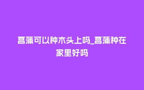 菖蒲可以种木头上吗_菖蒲种在家里好吗_鲜花知识_第1张_酷尚品 菖蒲可以种木头上吗_菖蒲种在家里好吗_https://www.kushangpin.com_鲜花知识_第1张