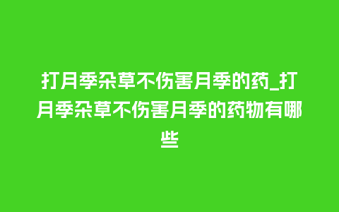 打月季杂草不伤害月季的药_打月季杂草不伤害月季的药物有哪些_http://www.kushangpin.com_鲜花知识_第1张