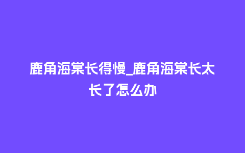 鹿角海棠长得慢_鹿角海棠长太长了怎么办_鲜花知识_第1张_酷尚品 鹿角海棠长得慢_鹿角海棠长太长了怎么办_http://www.kushangpin.com_鲜花知识_第1张
