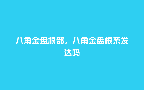 八角金盘根部,八角金盘根系发达吗_鲜花知识_第1张_酷尚品 八角金盘根部,八角金盘根系发达吗_https://www.kushangpin.com_鲜花知识_第1张