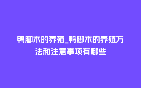 鸭脚木的养殖_鸭脚木的养殖方法和注意事项有哪些_鲜花知识_第1张_酷尚品 鸭脚木的养殖_鸭脚木的养殖方法和注意事项有哪些_https://www.kushangpin.com_鲜花知识_第1张