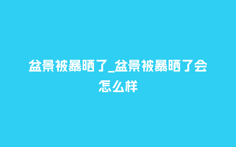 盆景被暴晒了_盆景被暴晒了会怎么样_https://www.kushangpin.com_鲜花知识_第1张