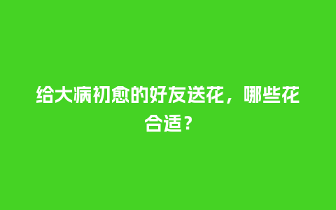 给大病初愈的好友送花，哪些花合适？_https://www.kushangpin.com_送礼知识_第1张