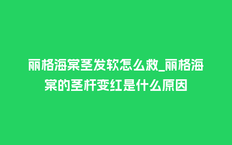 丽格海棠茎发软怎么救_丽格海棠的茎杆变红是什么原因_鲜花知识_第1张_酷尚品 丽格海棠茎发软怎么救_丽格海棠的茎杆变红是什么原因_https://www.kushangpin.com_鲜花知识_第1张