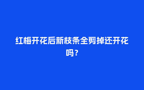 红梅开花后新枝条全剪掉还开花吗?_鲜花知识_第1张_酷尚品 红梅开花后新枝条全剪掉还开花吗?_https://www.kushangpin.com_鲜花知识_第1张