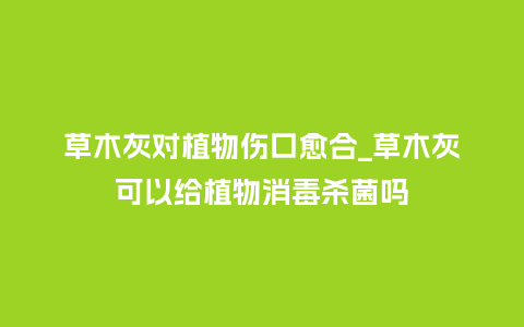 草木灰对植物伤口愈合_草木灰可以给植物消毒杀菌吗_http://www.kushangpin.com_鲜花知识_第1张