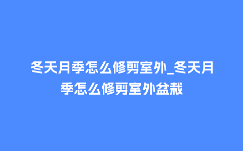 冬天月季怎么修剪室外_冬天月季怎么修剪室外盆栽_鲜花知识_第1张_酷尚品 冬天月季怎么修剪室外_冬天月季怎么修剪室外盆栽_http://www.kushangpin.com_鲜花知识_第1张