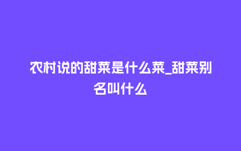 农村说的甜菜是什么菜_甜菜别名叫什么_https://www.kushangpin.com_鲜花知识_第1张