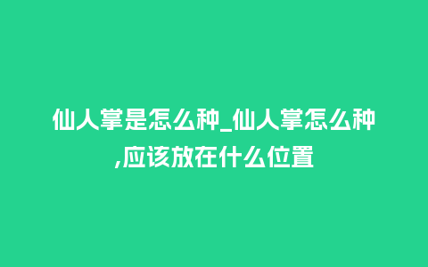 仙人掌是怎么种_仙人掌怎么种,应该放在什么位置_http://www.kushangpin.com_鲜花知识_第1张