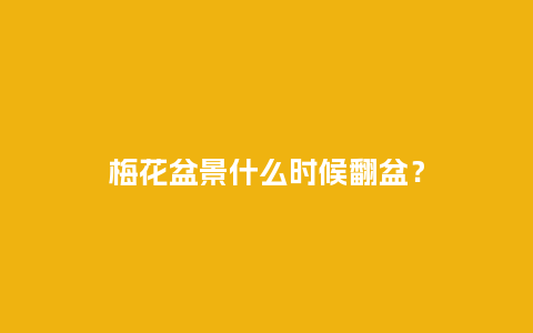 梅花盆景什么时候翻盆？_https://www.kushangpin.com_鲜花知识_第1张