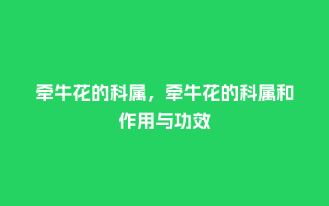 牵牛花的科属,牵牛花的科属和作用与功效_鲜花知识_第1张_酷尚品 牵牛花的科属,牵牛花的科属和作用与功效_https://www.kushangpin.com_鲜花知识_第1张