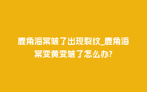 鹿角海棠皱了出现裂纹_鹿角海棠变黄变皱了怎么办?_鲜花知识_第1张_酷尚品 鹿角海棠皱了出现裂纹_鹿角海棠变黄变皱了怎么办?_http://www.kushangpin.com_鲜花知识_第1张