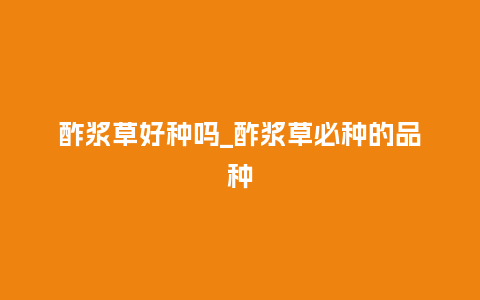 酢浆草好种吗_酢浆草必种的品种_鲜花知识_第1张_酷尚品 酢浆草好种吗_酢浆草必种的品种_https://www.kushangpin.com_鲜花知识_第1张