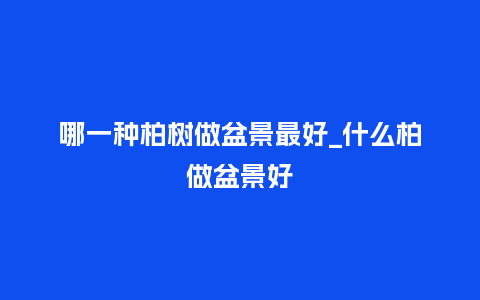 哪一种柏树做盆景最好_什么柏做盆景好_鲜花知识_第1张_酷尚品 哪一种柏树做盆景最好_什么柏做盆景好_http://www.kushangpin.com_鲜花知识_第1张