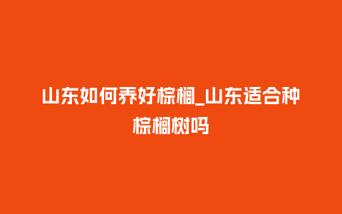 山东如何养好棕榈_山东适合种棕榈树吗_鲜花知识_第1张_酷尚品 山东如何养好棕榈_山东适合种棕榈树吗_https://www.kushangpin.com_鲜花知识_第1张