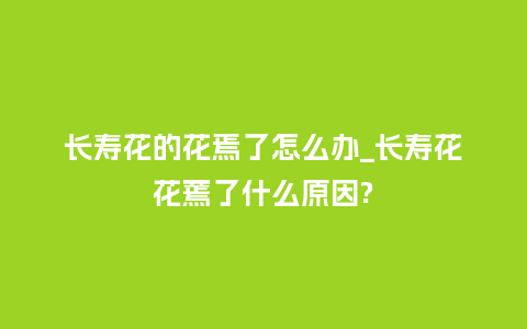 长寿花的花焉了怎么办_长寿花花蔫了什么原因?_鲜花知识_第1张_酷尚品 长寿花的花焉了怎么办_长寿花花蔫了什么原因?_http://www.kushangpin.com_鲜花知识_第1张