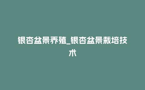 银杏盆景养殖_银杏盆景栽培技术_鲜花知识_第1张_酷尚品 银杏盆景养殖_银杏盆景栽培技术_https://www.kushangpin.com_鲜花知识_第1张