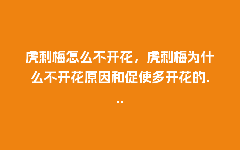 虎刺梅怎么不开花,虎刺梅为什么不开花原因和促使多开花的..._鲜花知识_第1张_酷尚品 虎刺梅怎么不开花,虎刺梅为什么不开花原因和促使多开花的..._https://www.kushangpin.com_鲜花知识_第1张