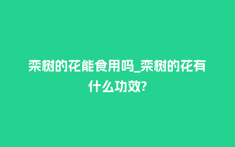 栾树的花能食用吗_栾树的花有什么功效?_鲜花知识_第1张_酷尚品 栾树的花能食用吗_栾树的花有什么功效?_http://www.kushangpin.com_鲜花知识_第1张
