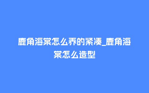 鹿角海棠怎么养的紧凑_鹿角海棠怎么造型_鲜花知识_第1张_酷尚品 鹿角海棠怎么养的紧凑_鹿角海棠怎么造型_http://www.kushangpin.com_鲜花知识_第1张