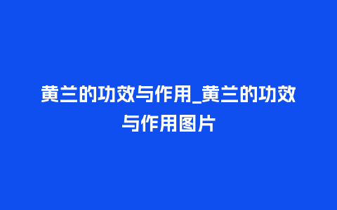 黄兰的功效与作用_黄兰的功效与作用图片_鲜花知识_第1张_酷尚品 黄兰的功效与作用_黄兰的功效与作用图片_https://www.kushangpin.com_鲜花知识_第1张