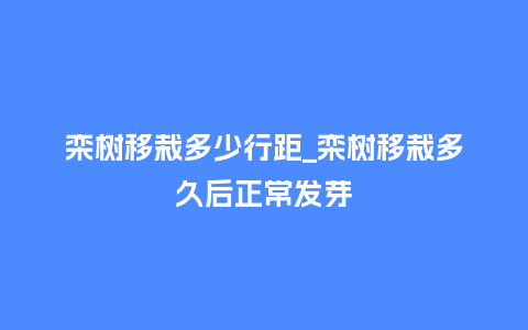 栾树移栽多少行距_栾树移栽多久后正常发芽_http://www.kushangpin.com_鲜花知识_第1张