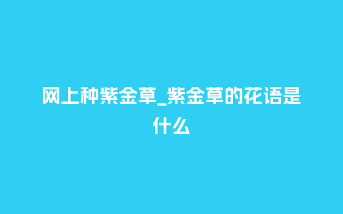 网上种紫金草_紫金草的花语是什么_鲜花知识_第1张_酷尚品 网上种紫金草_紫金草的花语是什么_http://www.kushangpin.com_鲜花知识_第1张