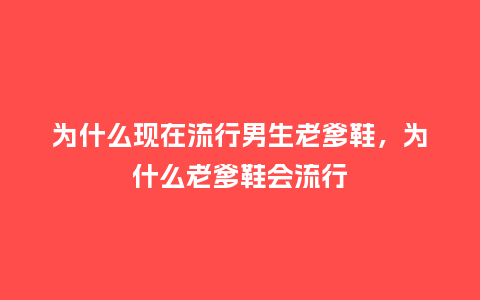 为什么现在流行男生老爹鞋，为什么老爹鞋会流行_https://www.kushangpin.com_服装百科_第1张