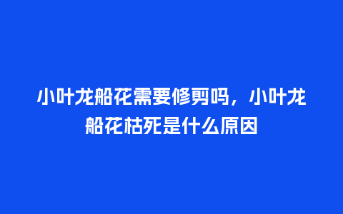 小叶龙船花需要修剪吗,小叶龙船花枯死是什么原因_鲜花知识_第1张_酷尚品 小叶龙船花需要修剪吗,小叶龙船花枯死是什么原因_https://www.kushangpin.com_鲜花知识_第1张
