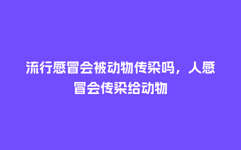 流行感冒会被动物传染吗，人感冒会传染给动物_https://www.kushangpin.com_服装百科_第1张