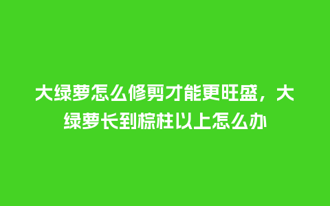 大绿萝怎么修剪才能更旺盛,大绿萝长到棕柱以上怎么办_鲜花知识_第1张_酷尚品 大绿萝怎么修剪才能更旺盛,大绿萝长到棕柱以上怎么办_https://www.kushangpin.com_鲜花知识_第1张