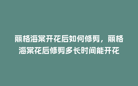 丽格海棠开花后如何修剪，丽格海棠花后修剪多长时间能开花_https://www.kushangpin.com_鲜花知识_第1张