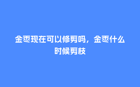 金枣现在可以修剪吗,金枣什么时候剪枝_鲜花知识_第1张_酷尚品 金枣现在可以修剪吗,金枣什么时候剪枝_https://www.kushangpin.com_鲜花知识_第1张