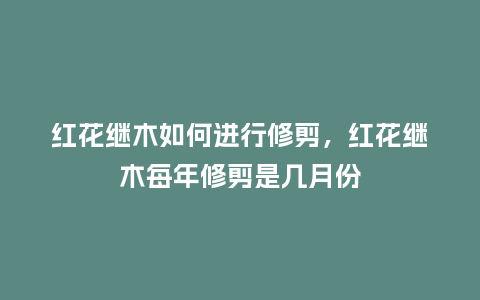 红花继木如何进行修剪,红花继木每年修剪是几月份_鲜花知识_第1张_酷尚品 红花继木如何进行修剪,红花继木每年修剪是几月份_https://www.kushangpin.com_鲜花知识_第1张