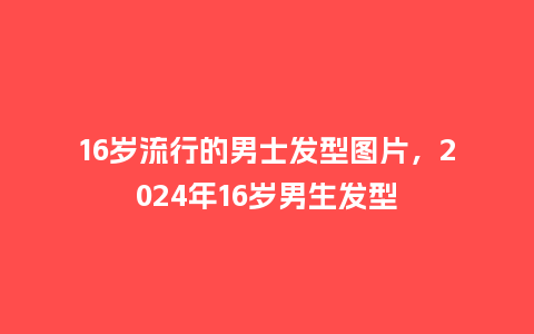16岁流行的男士发型图片,2024年16岁男生发型_服装百科_第1张_酷尚品 16岁流行的男士发型图片,2024年16岁男生发型_https://www.kushangpin.com_服装百科_第1张