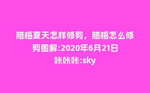腊梅夏天怎样修剪,腊梅怎么修剪图解:2020年6月21日咔咔咔:sky_鲜花知识_第1张_酷尚品 腊梅夏天怎样修剪,腊梅怎么修剪图解:2020年6月21日咔咔咔:sky_https://www.kushangpin.com_鲜花知识_第1张