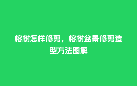 榕树怎样修剪,榕树盆景修剪造型方法图解_鲜花知识_第1张_酷尚品 榕树怎样修剪,榕树盆景修剪造型方法图解_https://www.kushangpin.com_鲜花知识_第1张