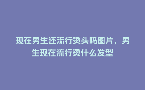 现在男生还流行烫头吗图片,男生现在流行烫什么发型_服装百科_第1张_酷尚品 现在男生还流行烫头吗图片,男生现在流行烫什么发型_https://www.kushangpin.com_服装百科_第1张