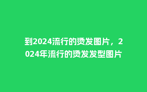 到2024流行的烫发图片,2024年流行的烫发发型图片_服装百科_第1张_酷尚品 到2024流行的烫发图片,2024年流行的烫发发型图片_https://www.kushangpin.com_服装百科_第1张