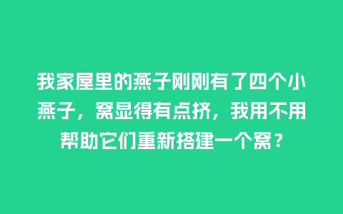 我家屋里的燕子刚刚有了四个小燕子,窝显得有点挤,我用不用帮助它们重新搭建一个窝?_服装百科_第1张_酷尚品 我家屋里的燕子刚刚有了四个小燕子,窝显得有点挤,我用不用帮助它们重新搭建一个窝?_https://www.kushangpin.com_服装百科_第1张