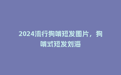 2024流行狗啃短发图片,狗啃式短发刘海_服装百科_第1张_酷尚品 2024流行狗啃短发图片,狗啃式短发刘海_https://www.kushangpin.com_服装百科_第1张