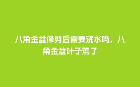 八角金盆修剪后需要浇水吗,八角金盆叶子蔫了_鲜花知识_第1张_酷尚品 八角金盆修剪后需要浇水吗,八角金盆叶子蔫了_https://www.kushangpin.com_鲜花知识_第1张