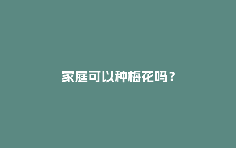 家庭可以种梅花吗?_鲜花知识_第1张_酷尚品 家庭可以种梅花吗?_https://www.kushangpin.com_鲜花知识_第1张